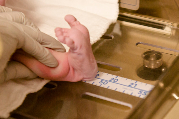 CMP Baby Berkley birth #070